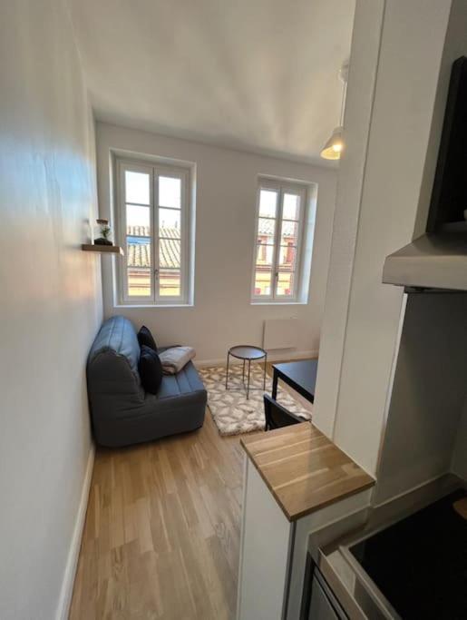 Le Studio Cygne Blanc Hypercentre Rue Riquet Toulouse Kültér fotó